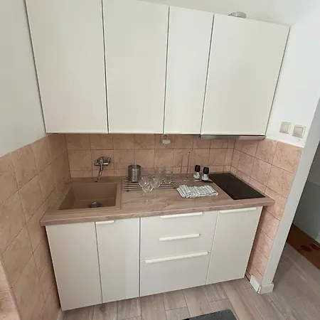 Apartment Ceska 23